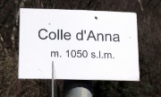 42 L'ultimo colletto...